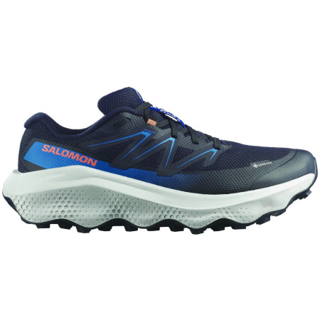 Мъжки обувки Salomon Ultra Flow 2 Gore-Tex