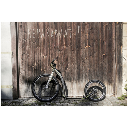 Тротинетка Yedoo Trexx Disc