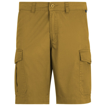 Мъжки къси панталони Regatta Ruwan Shorts