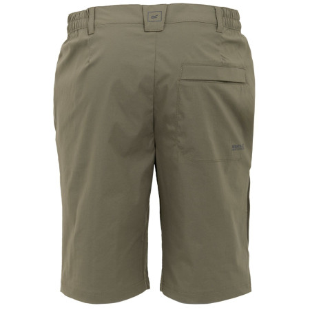 Мъжки къси панталони Regatta Highton Shorts Long II