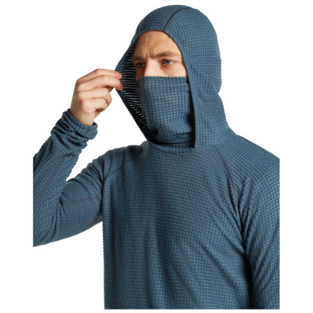 Мъжки суитшърт Icebreaker Men Mer 400 RealFleece Grid Pulover Hood