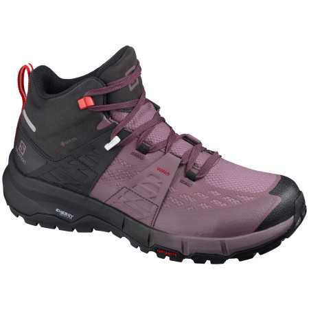 Дамски обувки Salomon Odyssey Mid GTX W черен Black