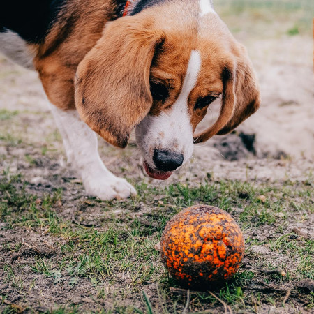 Играчка за куче Explorer Dog AirBall Tips 8 cm