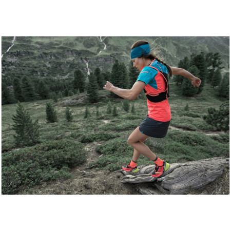 Чорапи Dynafit Alpine Short Sk