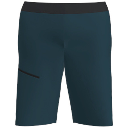 Мъжки къси панталони Salewa Puez 4 Shorts M