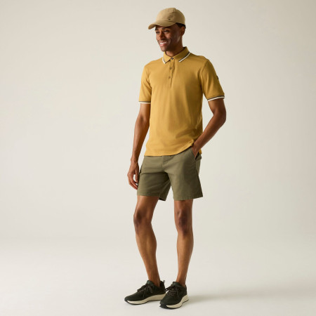 Мъжка тениска Regatta Adryan Polo