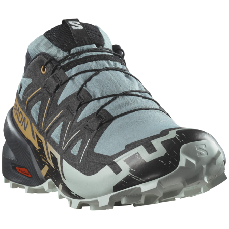 Мъжки обувки за бягане Salomon Speedcross 6 Gore-Tex