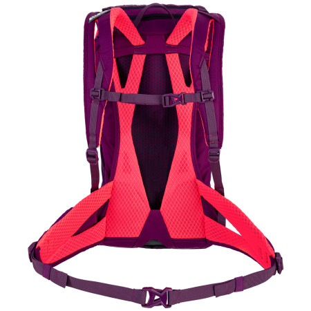 Раница Salewa Alp Trainer 20 Ws