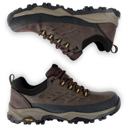 Мъжки обувки Regatta Blake Low