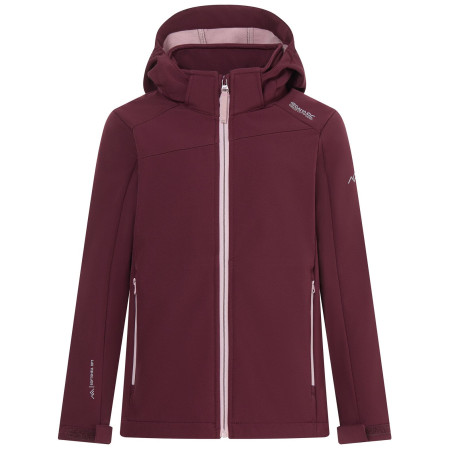 Детско софтшел яке Regatta Haydenbury Fig лилав Fig Powder Lilac