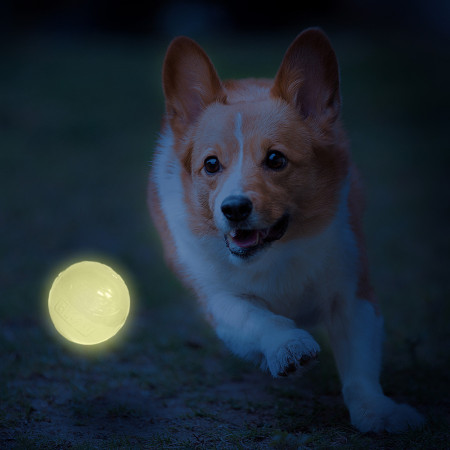 Играчка за куче Nerf Dog LED launcher Air Strike