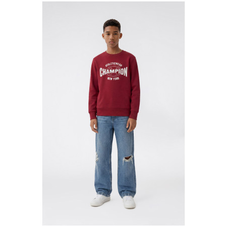 Детски суитшърт Champion Crewneck Sweatshirt B GMS