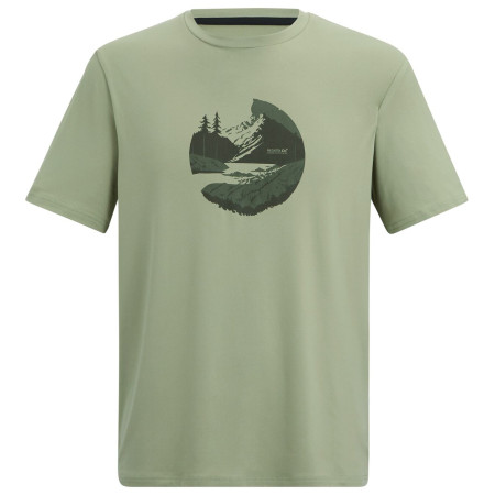Мъжка тениска Regatta Fingal Stretch зелен Light Sage
