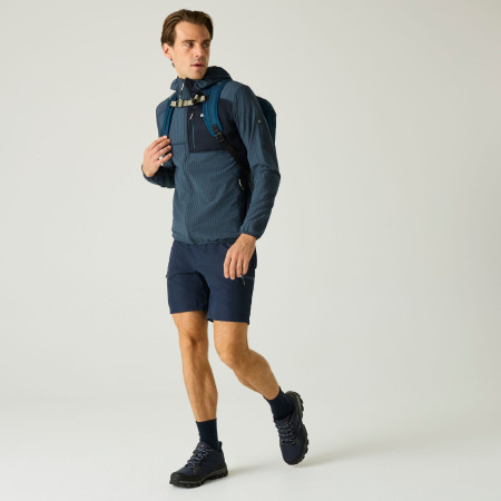 Мъжки суитшърт Regatta Alven