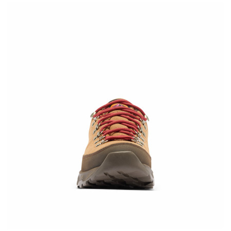 Мъжки обувки Columbia Newton Alpine™ Low