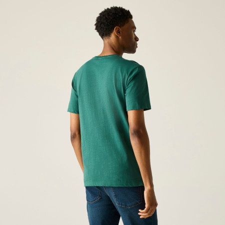 Мъжка тениска Regatta Rendro