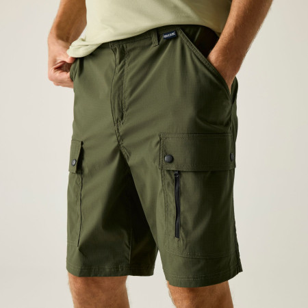 Мъжки къси панталони Regatta Arlery Shorts