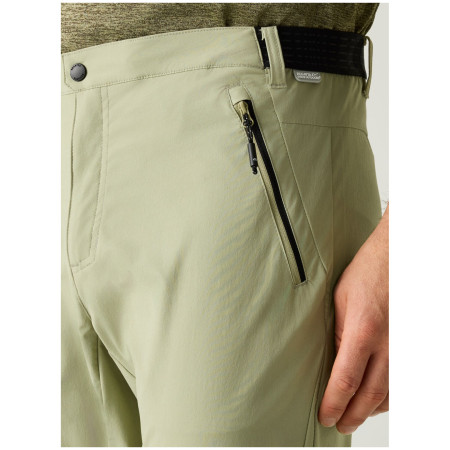 Мъжки панталони Regatta Mountain Z/O Trousers