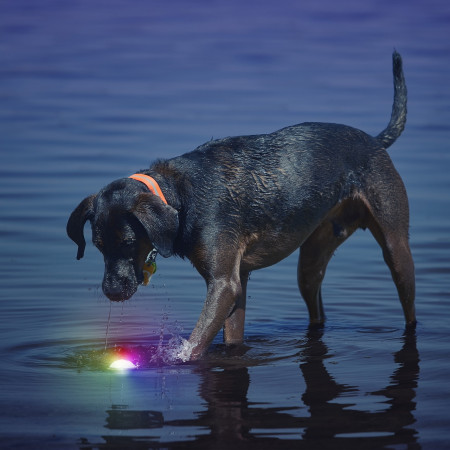 Играчка за куче Nite Ize Glowstreak LED Ball