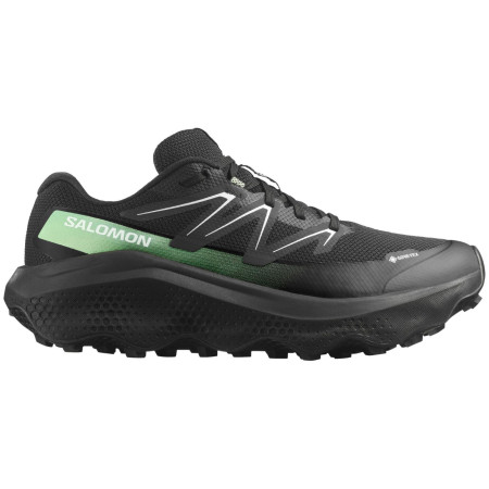 Мъжки обувки Salomon Ultra Flow 2 Gore-Tex