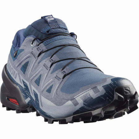 Мъжки обувки за бягане Salomon Speedcross 6 Gore-Tex