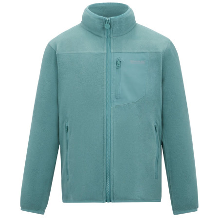 Детски суитшърт Regatta Junior Frankie F/Z Ivy Moss светло зелен Ivy Moss