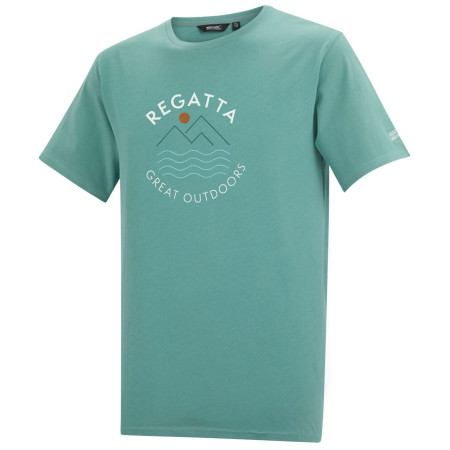 Мъжка тениска Regatta Cline IX