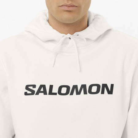 Мъжки суитшърт Salomon Logo Hoodie M