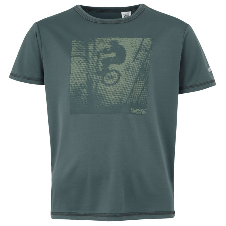 Детска тениска Regatta Alvarado IX