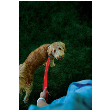 Повод за куче Nite Ize LED NiteDog