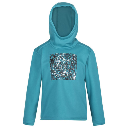 Детски суитшърт Regatta Jnr Highton Extol