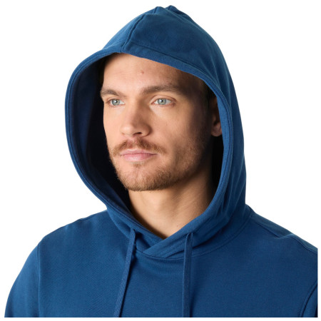 Мъжки суитшърт Helly Hansen HH Logo Hoodie