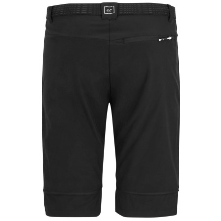 Мъжки панталони Regatta Mountain Z/O Trousers