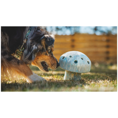 Играчка за куче Ruffwear Porchini™