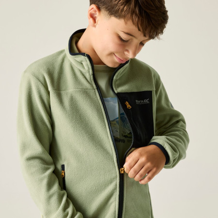 Детски суитшърт Regatta Junior Frankie F/Z Light Sage