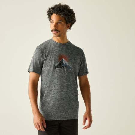 Мъжка тениска Regatta Fingal