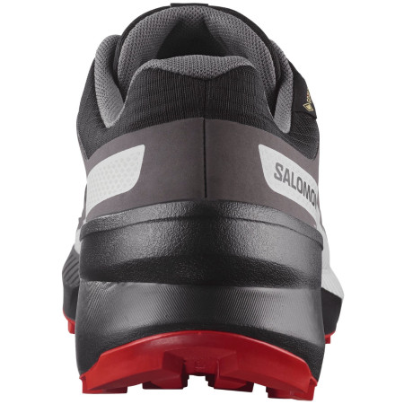 Мъжки обувки Salomon Speedcross Peak Gore-Tex