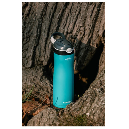 Термобутилка Contigo Ashland Chill 590ml