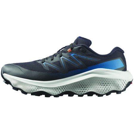 Мъжки обувки Salomon Ultra Flow 2 Gore-Tex