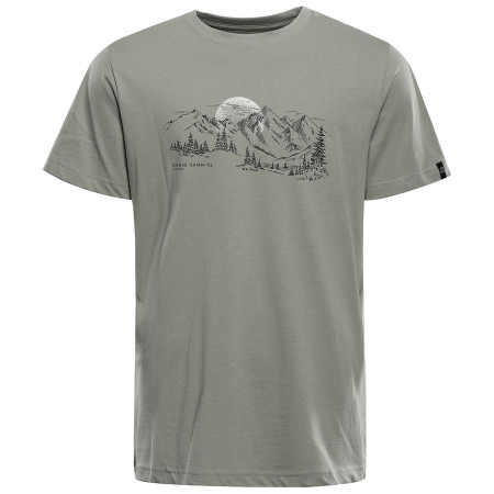 Мъжка тениска Alpine Pro Termes 4 сив Grey