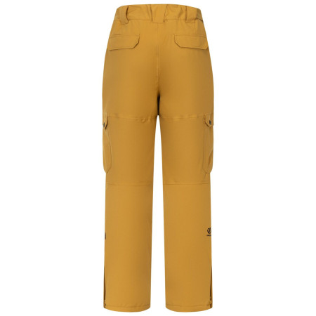 Мъжки панталони Dare 2b Baseplate Insulated Pant