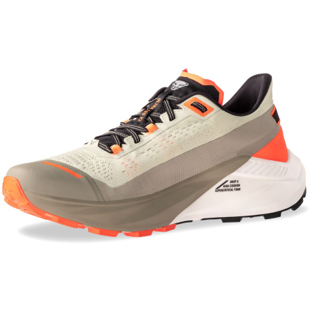 Мъжки обувки за бягане Dynafit Ultra 100 V3 бежов Rock Khaki/Overcast