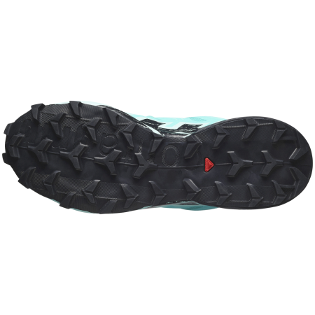 Дамски обувки Salomon Speedcross 6 Gore-Tex