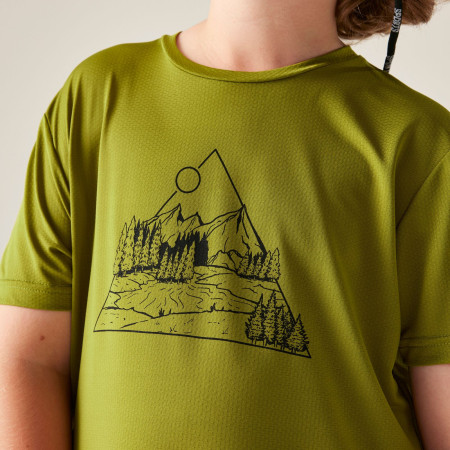 Детска тениска Dare 2b Amuse III Tee Goldn Cypress