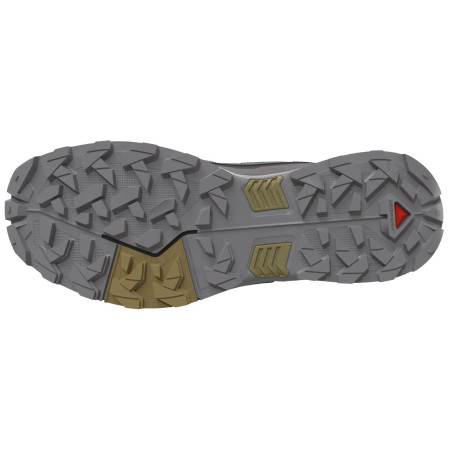 Мъжки туристически обувки Salomon X Ultra 5