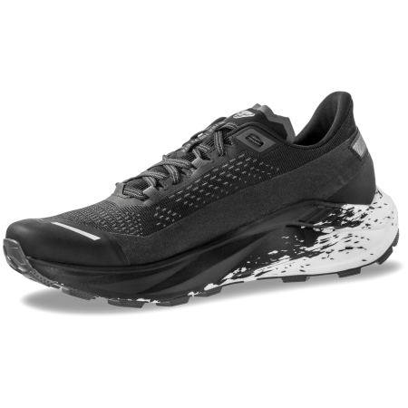 Мъжки обувки за бягане Dynafit Ultra 100 V3 GTX