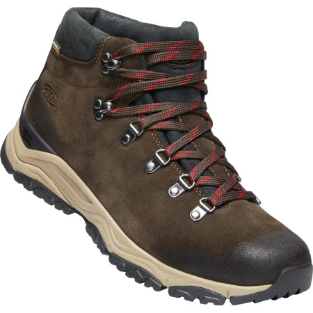 Мъжки туристически обувки Keen Feldberg Apx Wp M кафяв Ebony/Brown