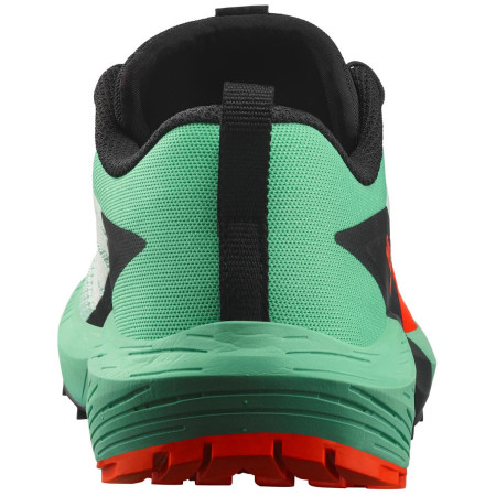 Дамски обувки за бягане Salomon Sense Ride 5