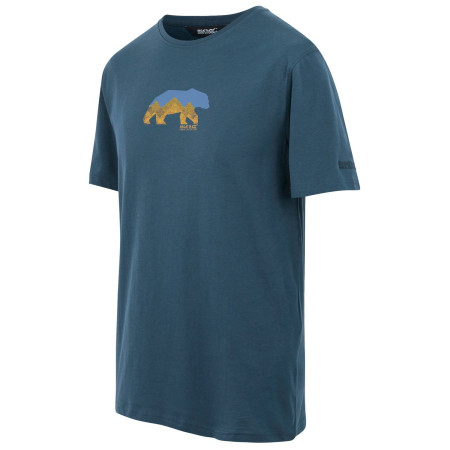 Мъжка тениска Regatta Cline IX