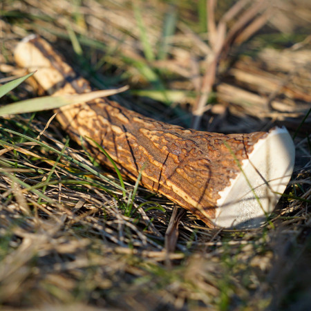 Играчка за куче Explorer Dog Antler Chew easy